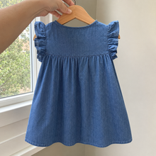 Girls Denim Dress with Ruffle Sleeves, Dinosaur and Weather Appliqué