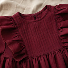 Girls Vintage Ruffle Long-Sleeve Dress, Pintuck Fall Princess Dress