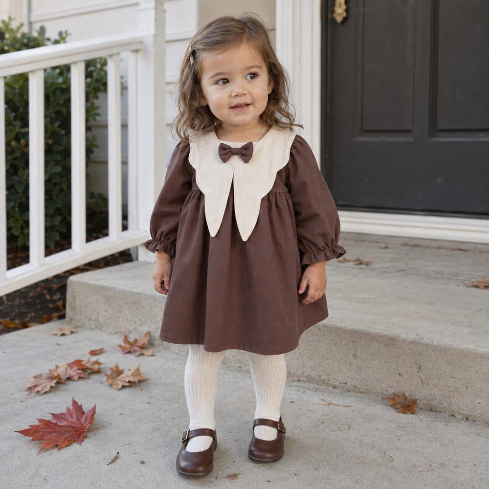 Girls Brown Bow Collar Dress, Vintage Toddler Fall Outfit
