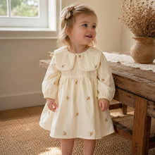 Baby Girl Embroidered Dress, Peter Pan Collar Long Sleeve Cotton Toddler Dress, Butterfly & Leaves, 1st Birthday Gift